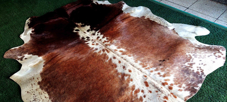 پوست گاوی