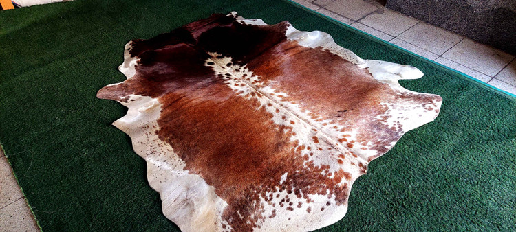 دکوراسیون لوکس و مدرن