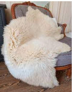 پوست گوسفندی