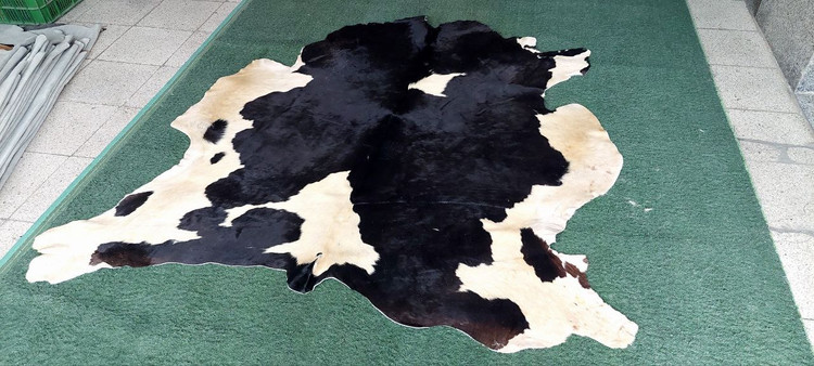 پوست گاو