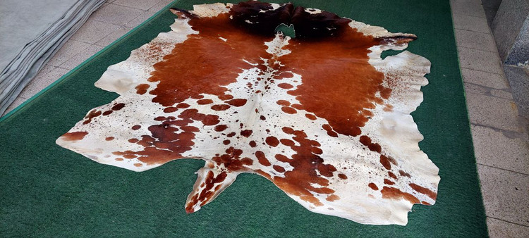 پوست گاو دباغی