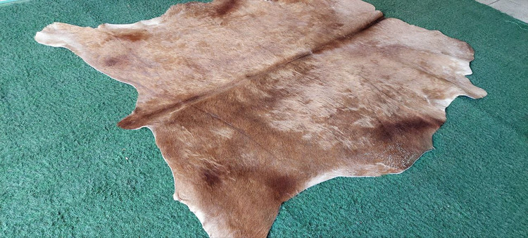 پوست گاو