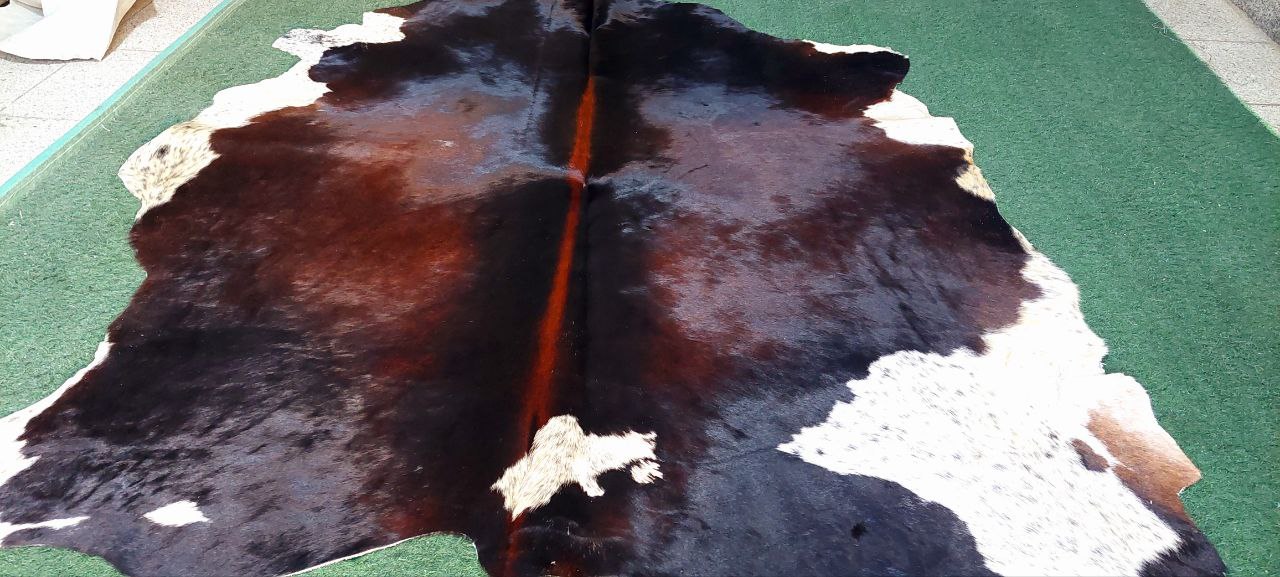 خرید پوست گاو