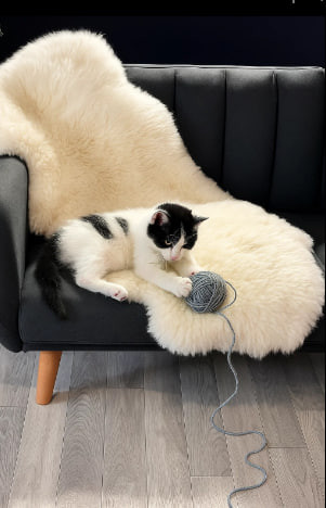 پوست گوسفندی دباغی شده