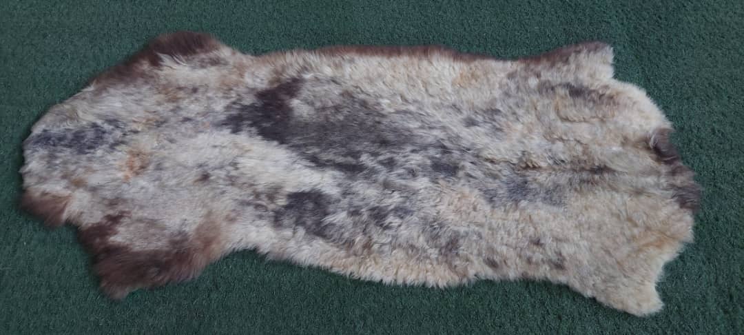 پوست گوسفندی دباغی شده