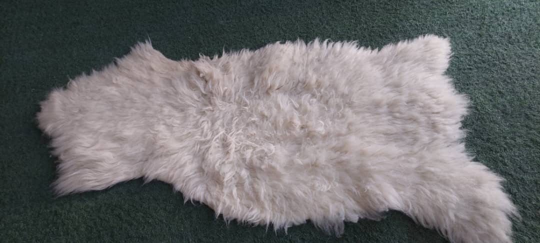 پوست گوسفندی دباغی شده