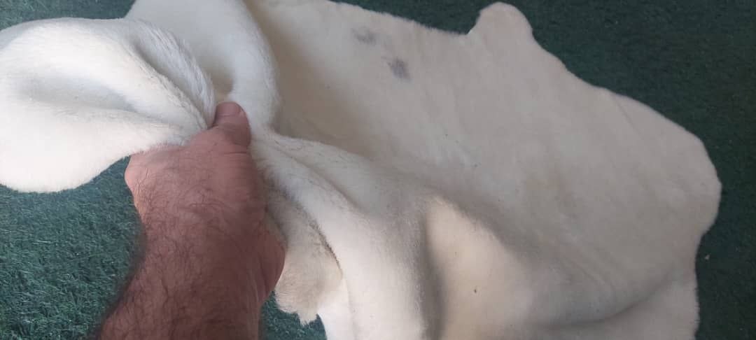 پوست گوسفندی دباغی شده