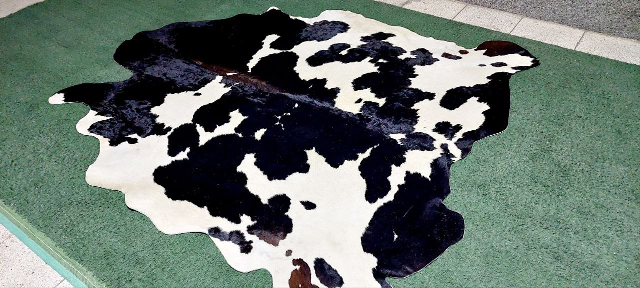 قیمت پوست گاو