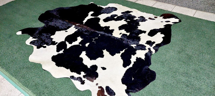 قیمت پوست گاو