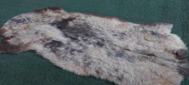 پوست گوسفند دباغی شده