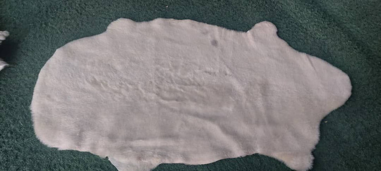 پوست گوسفند