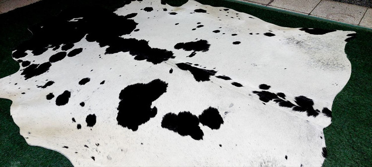 پوست گاو دباغی شده