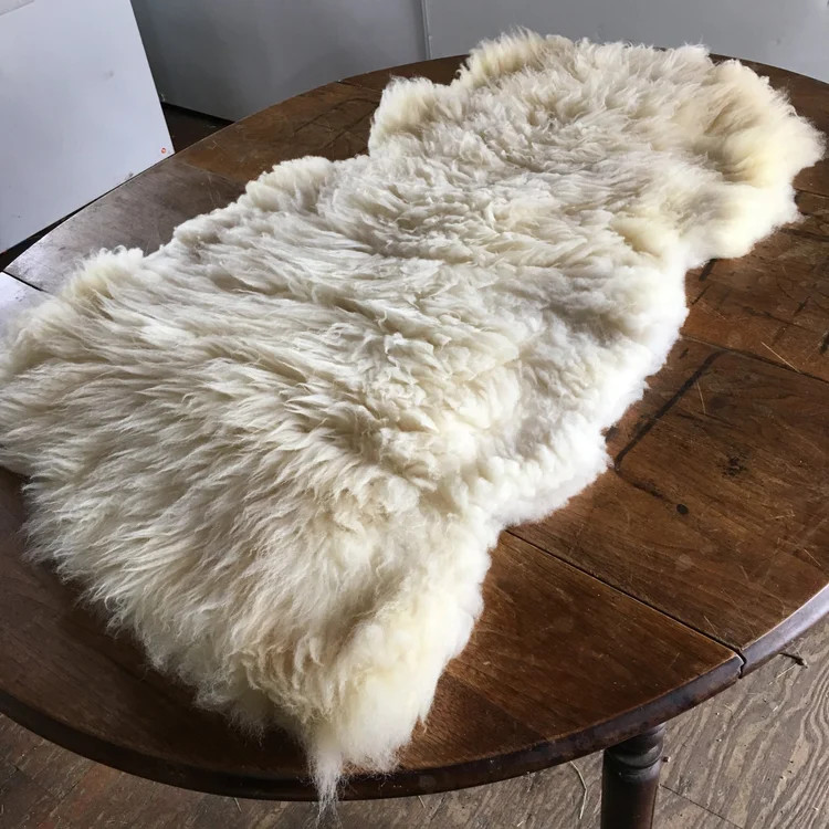 پوست گوسفند طبی