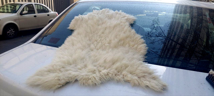 پوست گوسفند دباغی شده