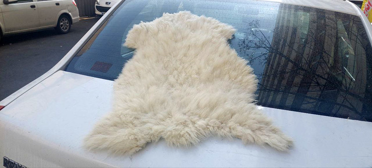 پوست گوسفند دباغی شده