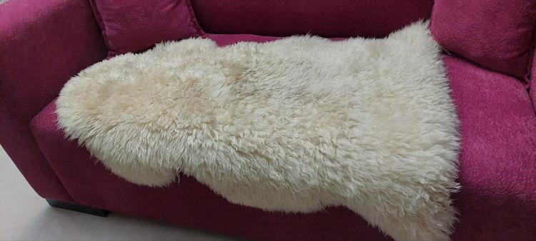 مرینوس استرالیایی