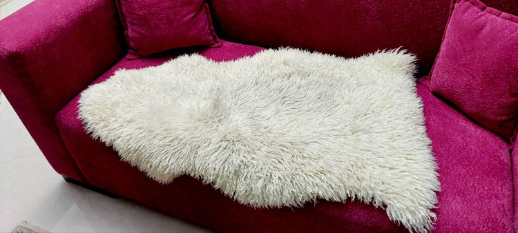 مرینوس استرالیایی