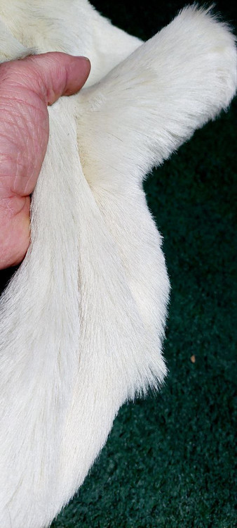 پوست گوسفند طبیعی