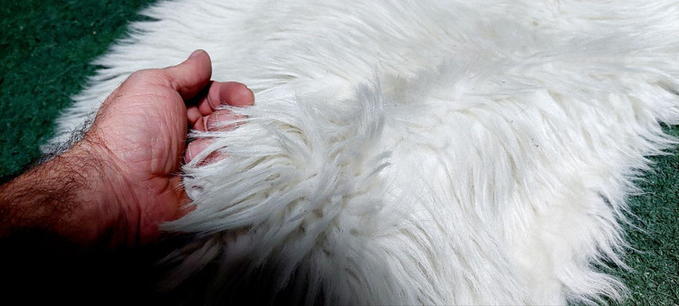 پوست گوسفند دباغی شده