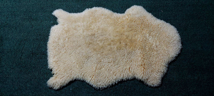 پوست گوسفند طبی