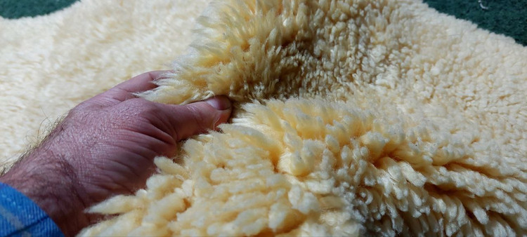 پوست گوسفند طبیعی مرینوس