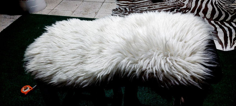 پوست گوسفندی