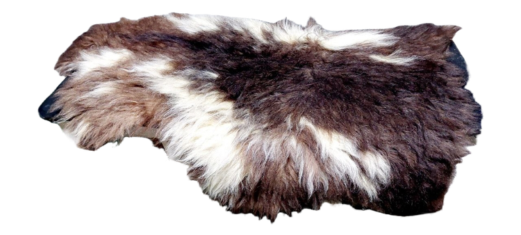 پوست گوسفند دباغی شده