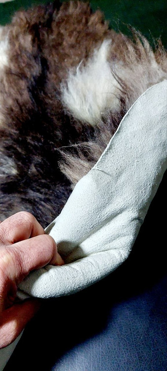 پوست گوسفندی