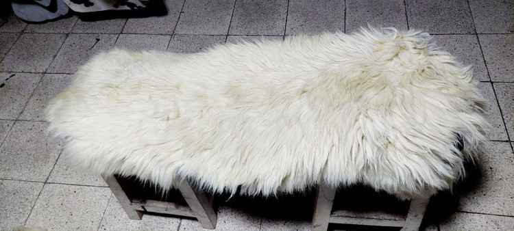 پوست گوسفند دباغی شده