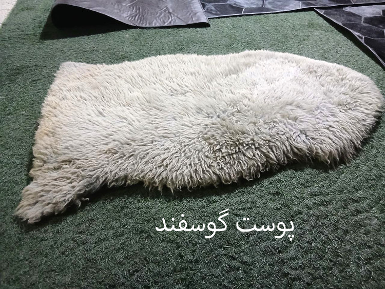 پوست گوسفند دباغی شده