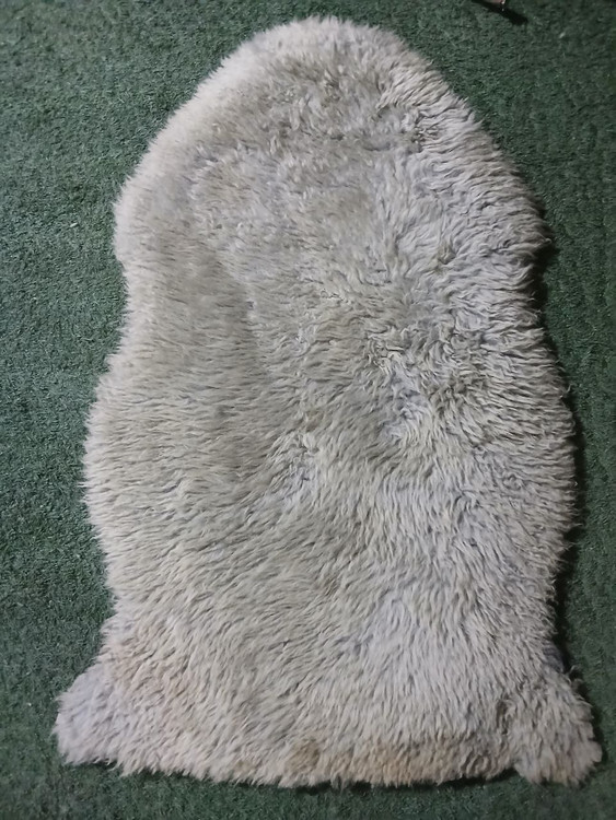 پوست گوسفند