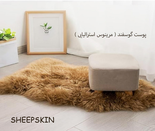 پوست گوسفند ( مرینوس استرالیایی )