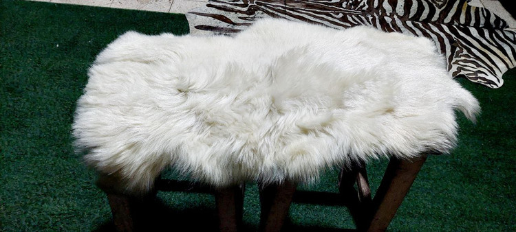 پوست گوسفند