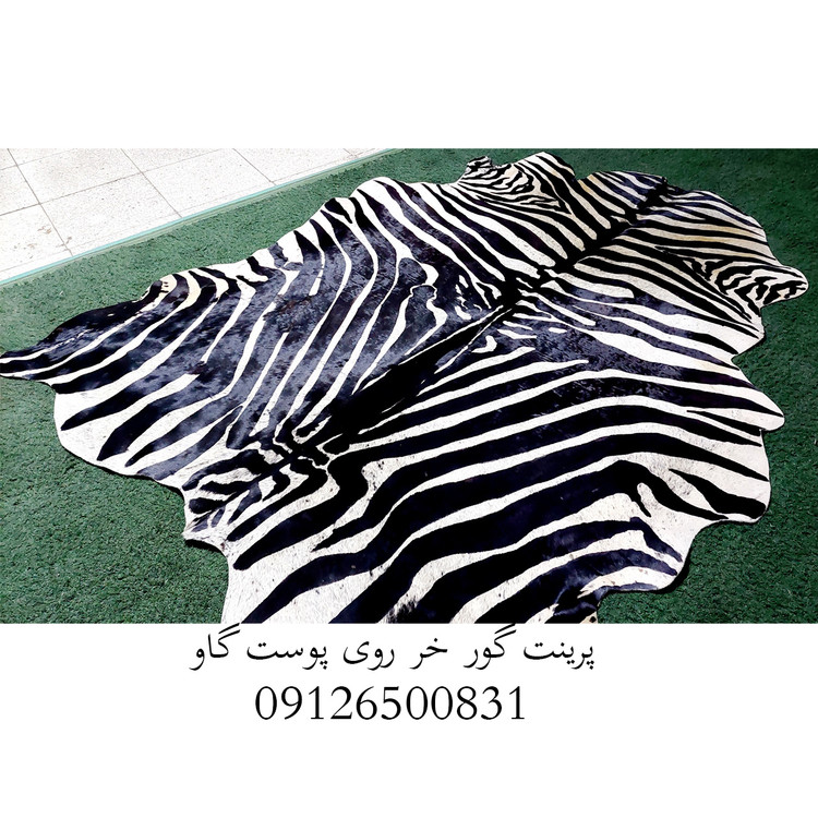 پرینت گورخر