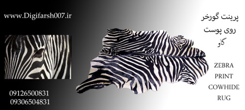 پرینت گورخر