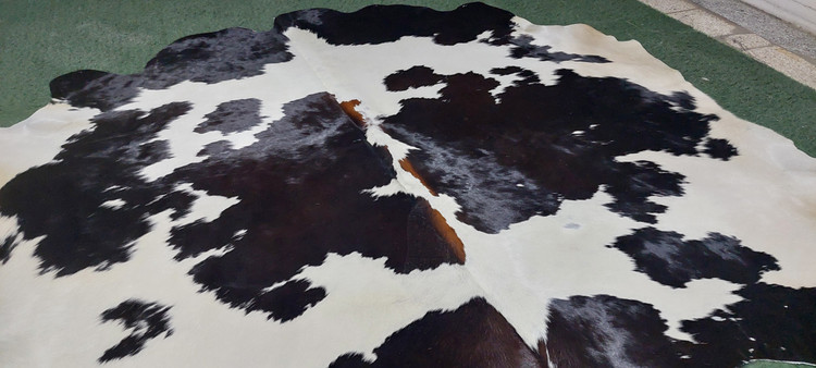 پوست گاو دباغی شده
