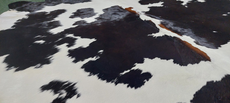 پوست گاو دباغی شده