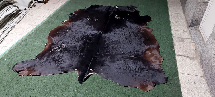 پوست گاو دباغی شده