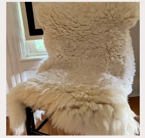 پوست گوسفند