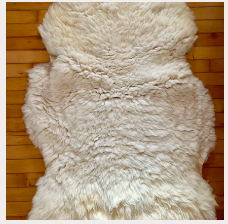 پوست گوسفند