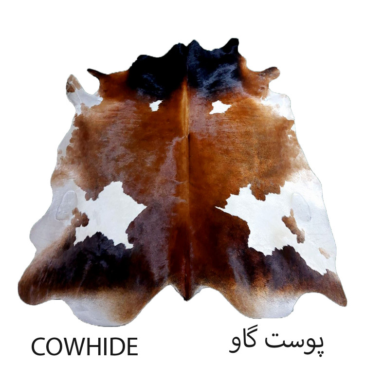 پوست گاو دباغی شده