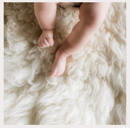 پوست گوسفند