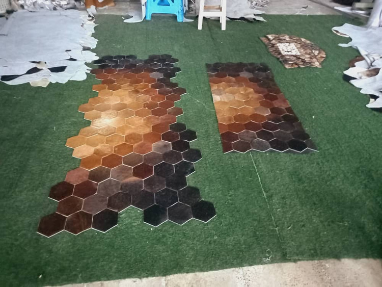 فرس پوست 6 ضلعی