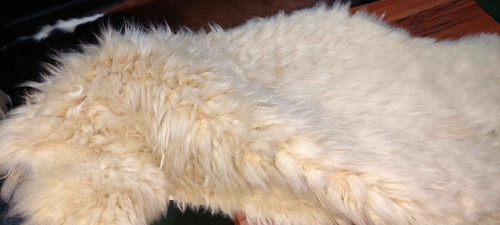 پوست گوسفند