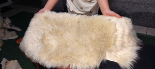 پوست گوسفند