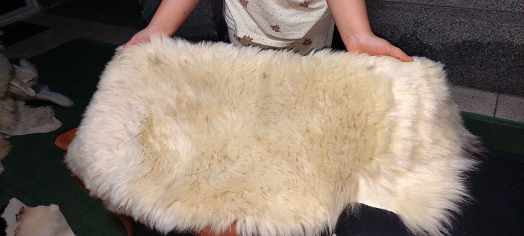 پوست گوسفند