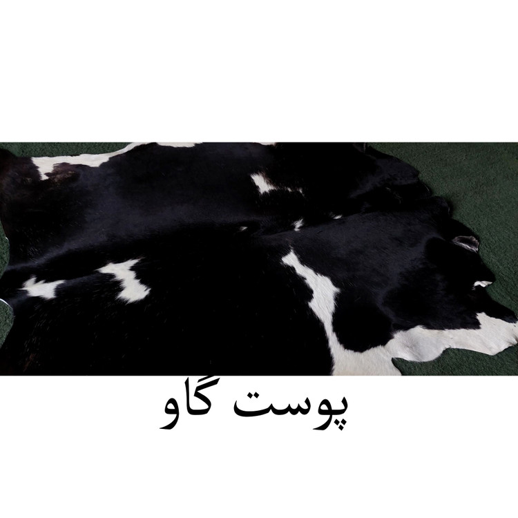 پوست گاو
