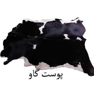 پوست گاو