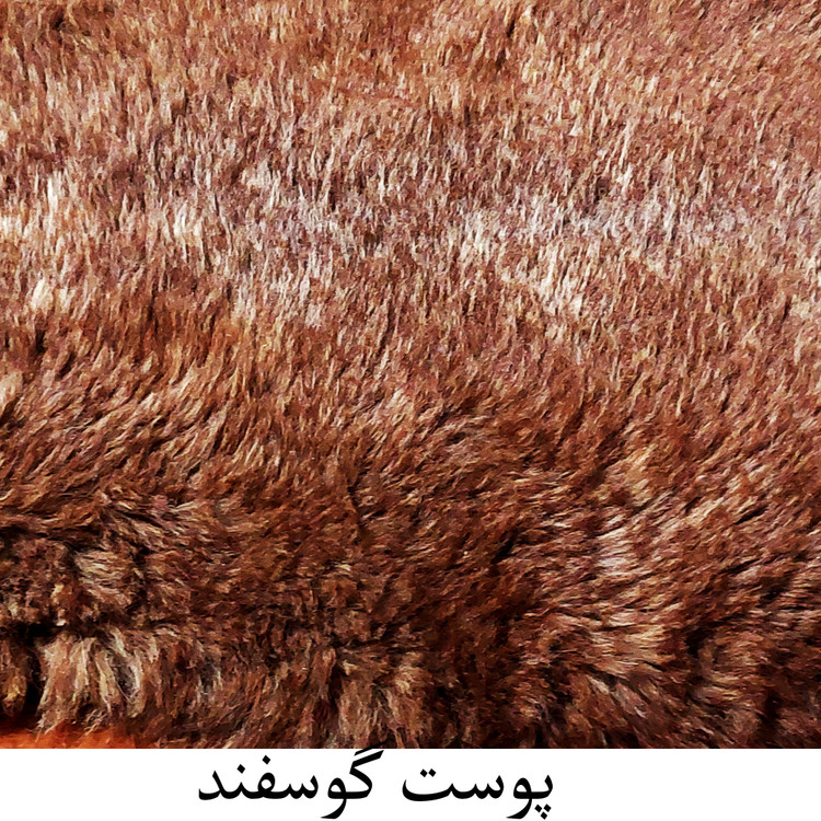 پوست گوسفند