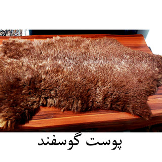 پوست گوسفند
